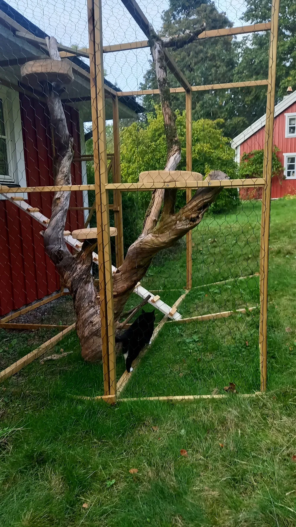 Grimbo katthotell/kattpensionat - Västra Götaland pet otel