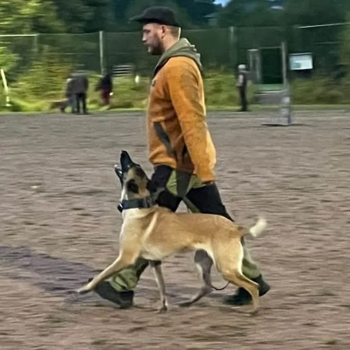 Kennel Kings & Queens's - Västra Götaland pet otel görseli 3