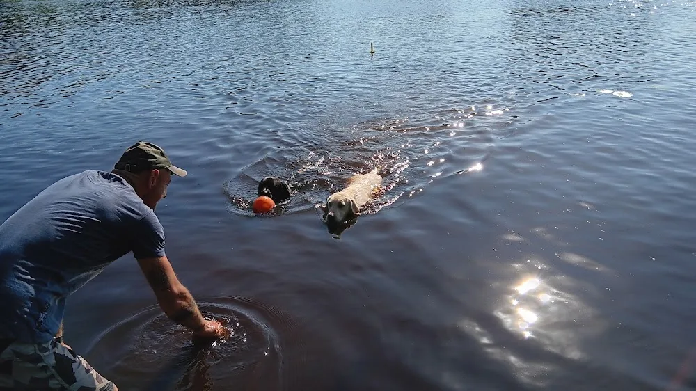 Miles From Nowhere Labrador Retriever Kennel SKK FCI - Västra Götaland pet otel görseli 3