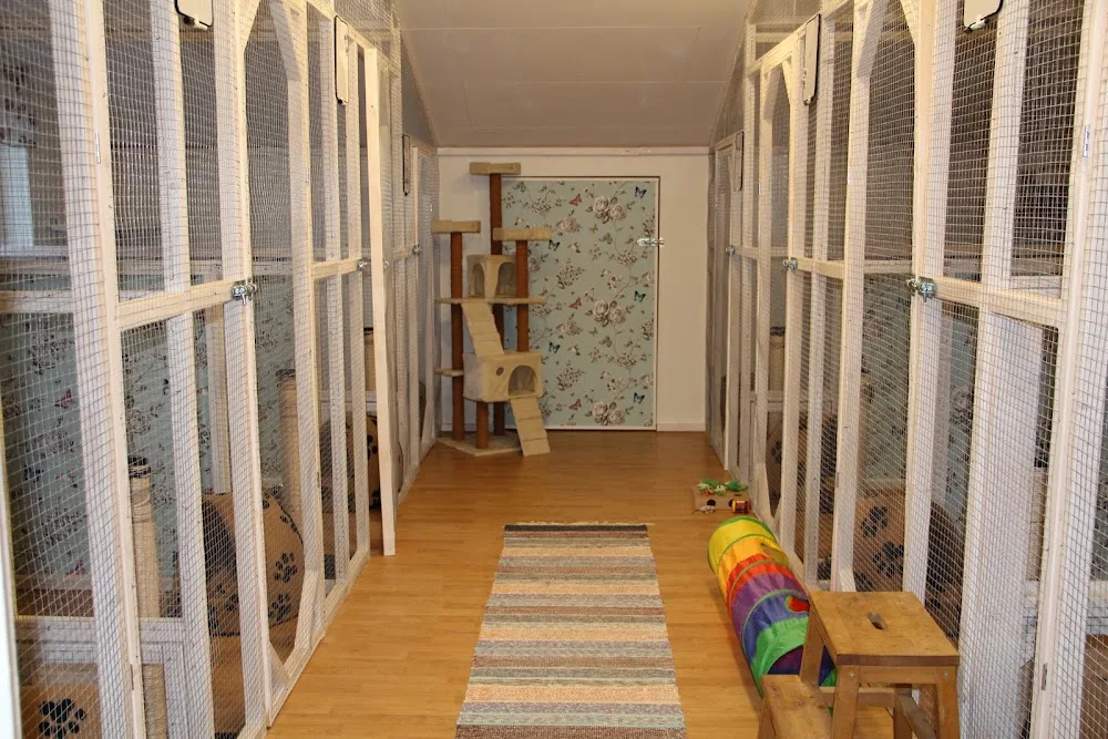 Stall Alfhems Katthotell - Västra Götaland pet otel görseli 3