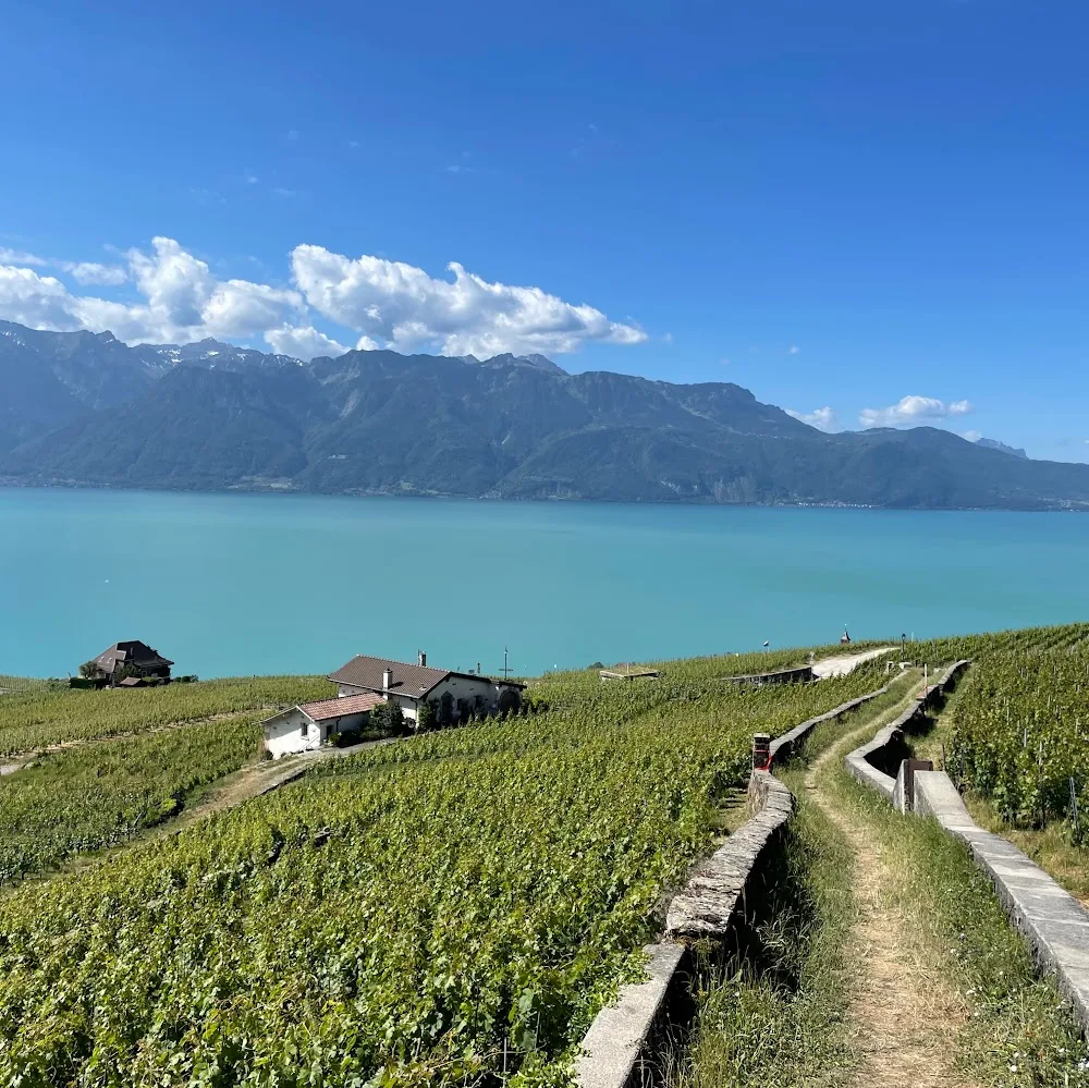 Chenil/chatterie de Bex, Elevage et pension du Rocher de l'Aigle - Vaud pet otel görseli 5