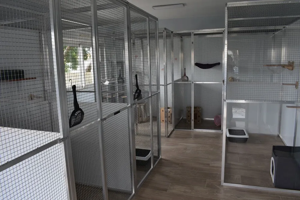 LE CHAT LAND' DAY - Pension pour chats - Garde de chats - Pet Sitter - Vendée pet otel
