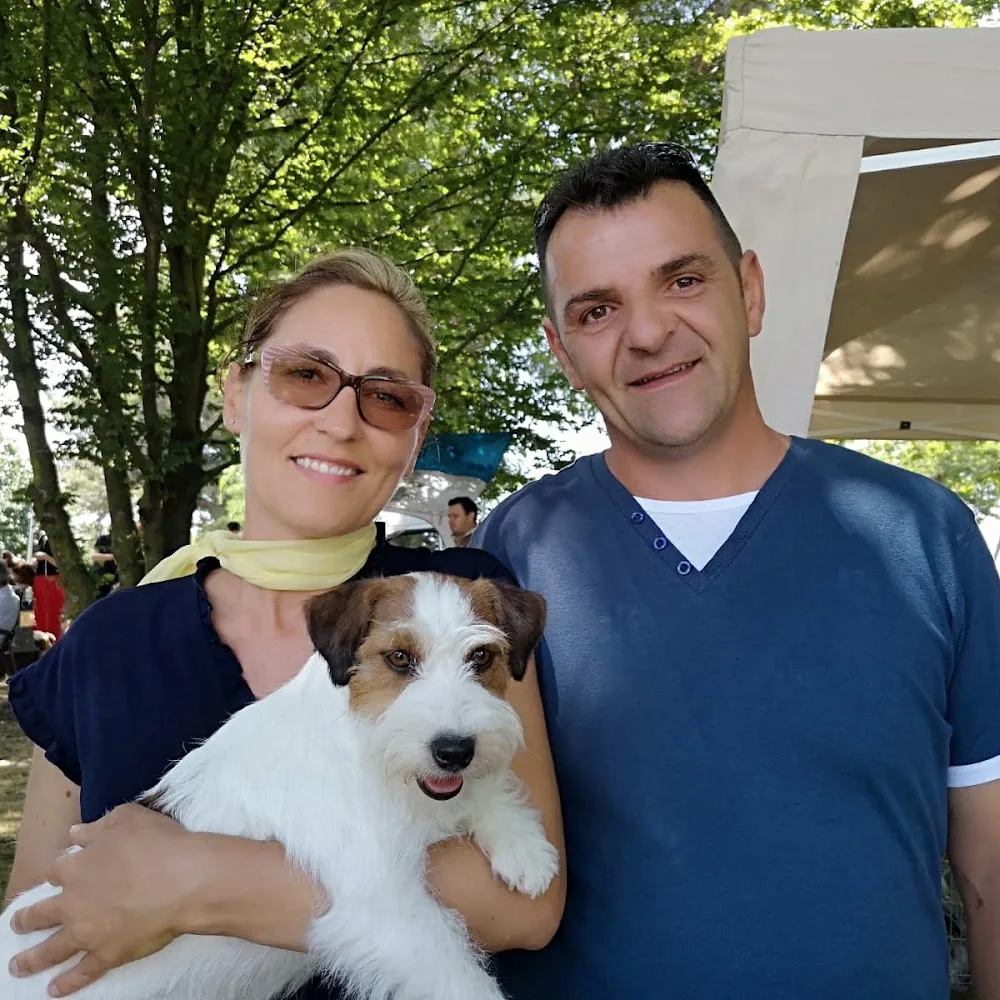 Centro Cinofilo Antico Fiume Allevamento del JACK Russell Terrier - Veneto pet otel