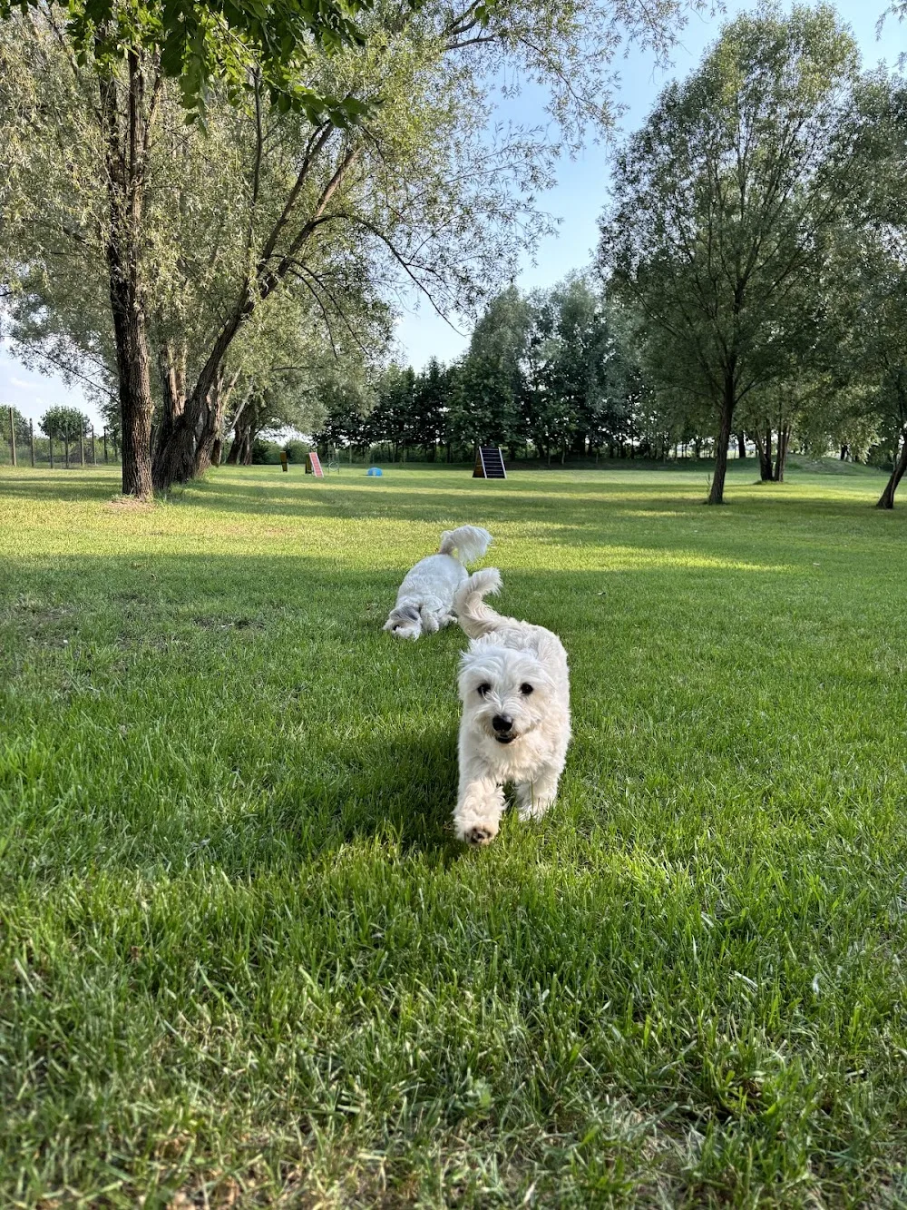 La Casa Dell’Olmo - Veneto pet otel
