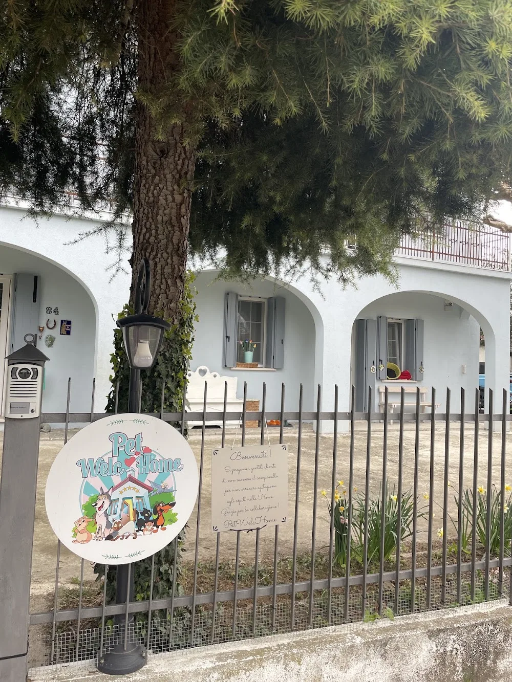 PetWelcHome - Veneto pet otel görseli 3