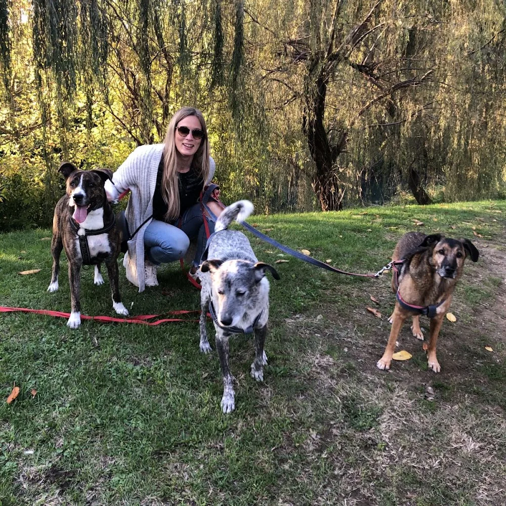 Love Dog - Family Dog Sitter - Roofus - Venice pet otel