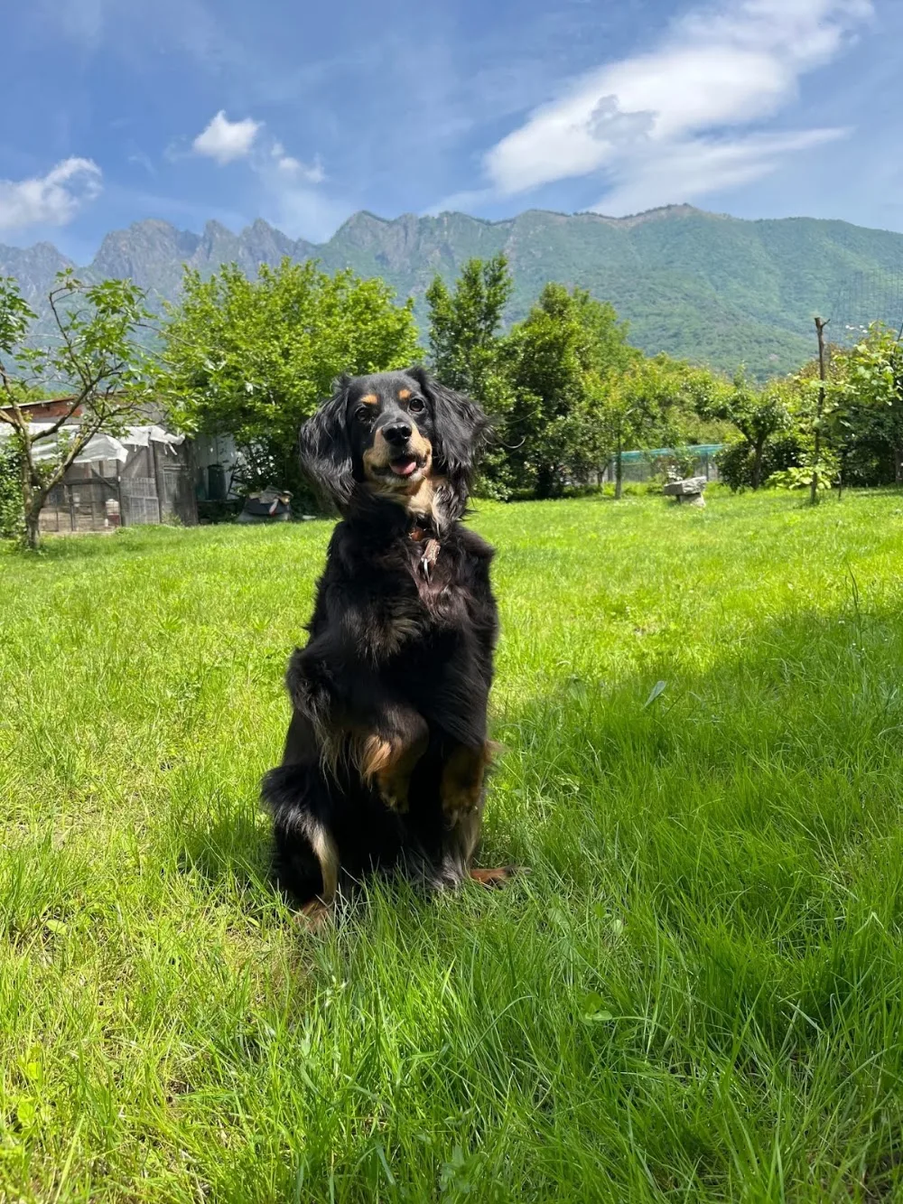 A Casa di Mira - Verbano-Cusio-Ossola pet otel görseli 3