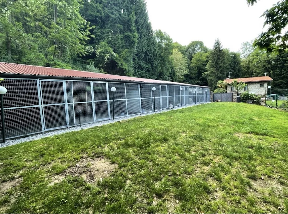 Residence 4 Zampe - Verbano-Cusio-Ossola pet otel