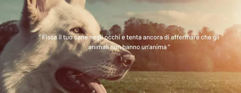 Sesia Dog's Island - Verbano-Cusio-Ossola pet otel