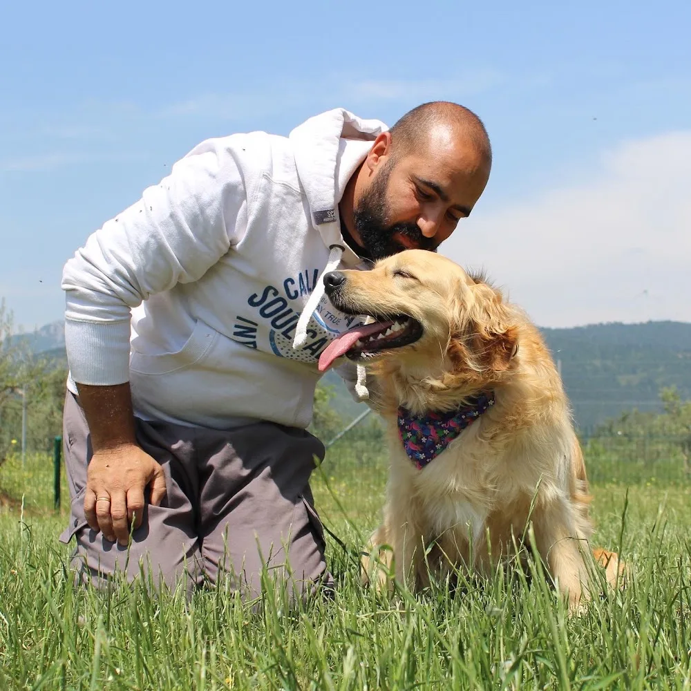 Vesta Köpek Eğitimi & Köpek Oteli - İzmir - Vesta Pet Services - Izmir pet otel görseli 3