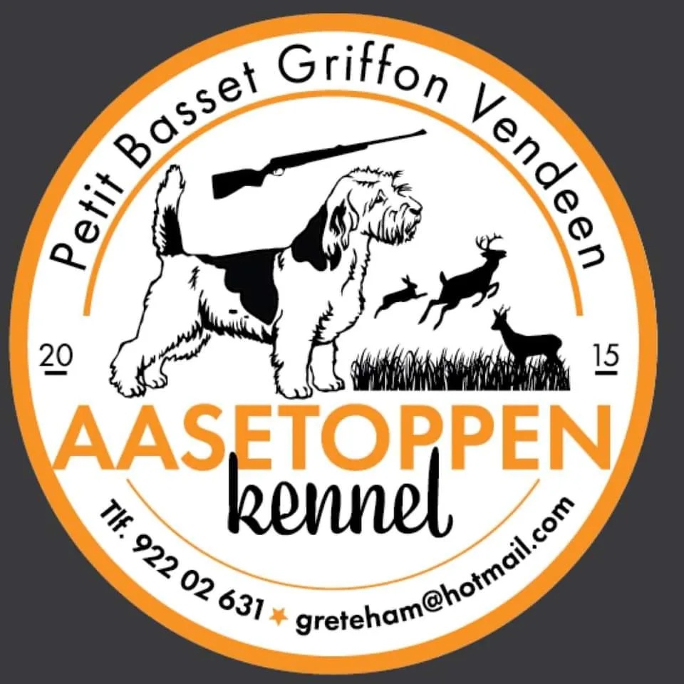 Aasetoppen kennel - Vestland pet otel