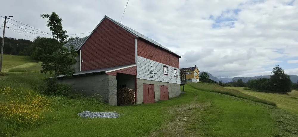 Ljones Kattepensjonat AS - Vestland pet otel görseli 3
