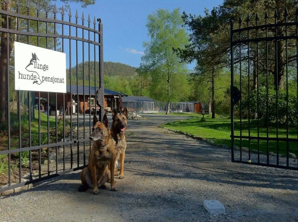 Tunge Hundesenter - Vestland pet otel