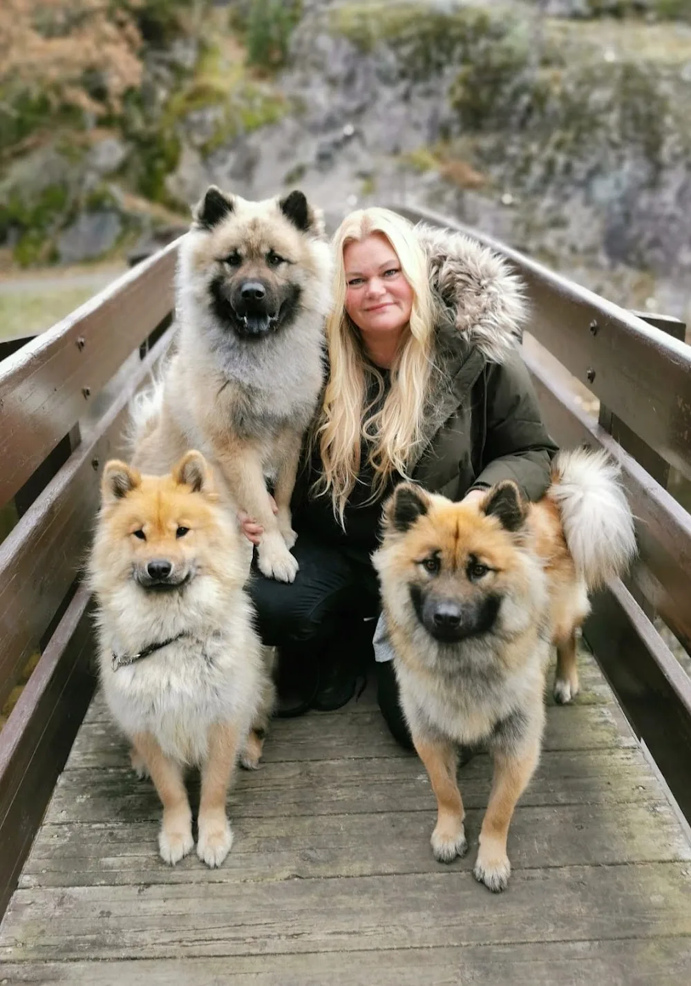 Villevestland Kennel - Vestland pet otel