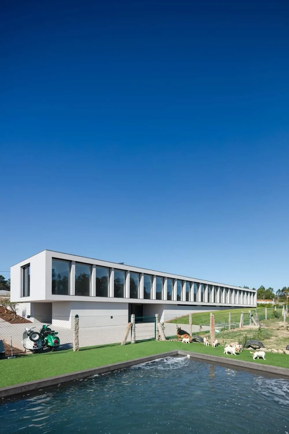 Domi Canis Cattus Eco Hotel - Viana do Castelo pet otel