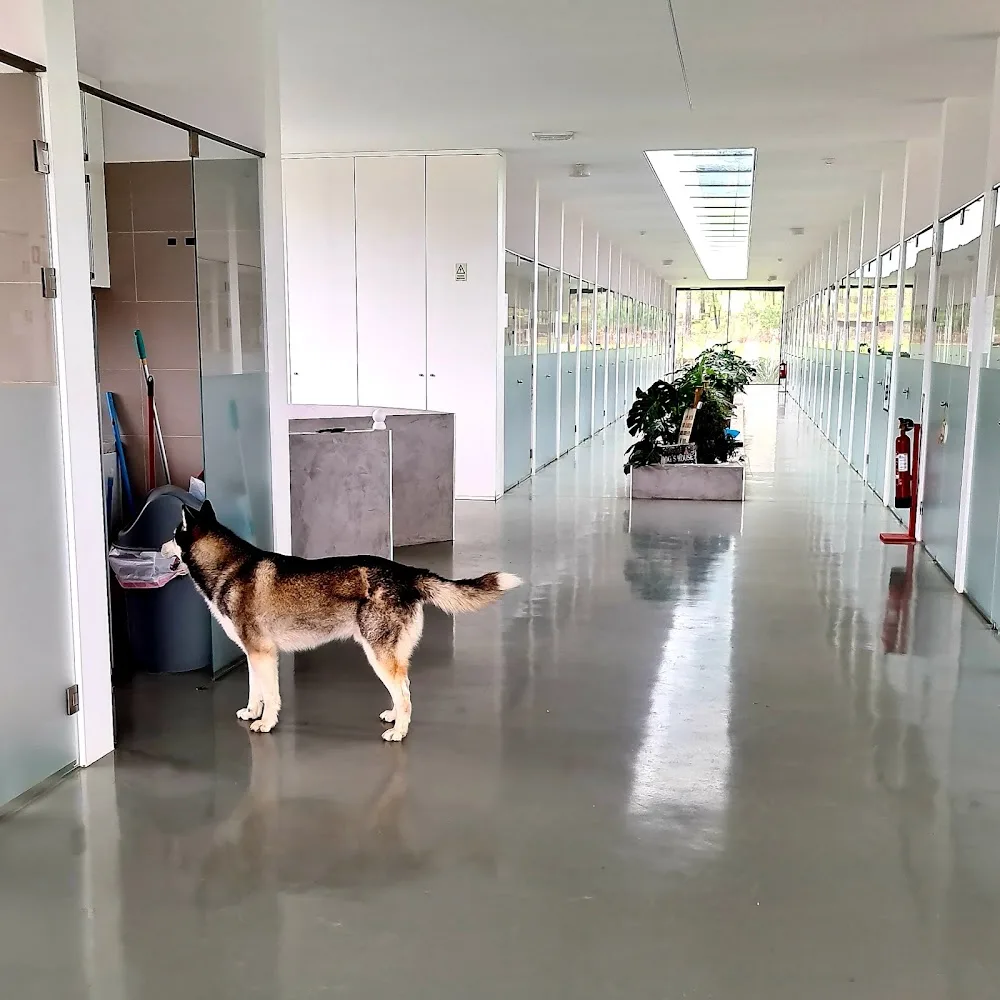 Domi Canis Cattus Eco Hotel - Viana do Castelo pet otel görseli 3