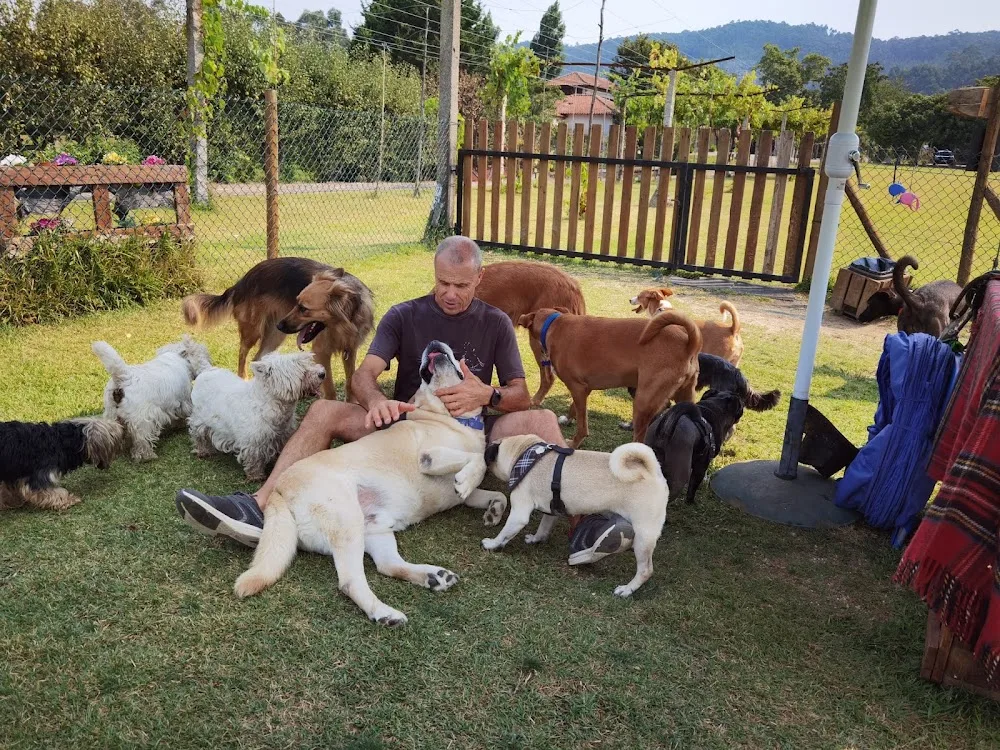 Santa Comba Pet Club & Hotel - Viana do Castelo pet otel görseli 3