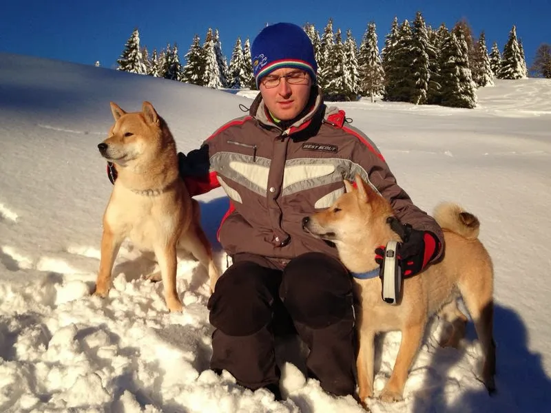 Allevamento Kuma | Allevamento e vendita cuccioli di cane Shiba inu e pensione per cani - Vicenza pet otel
