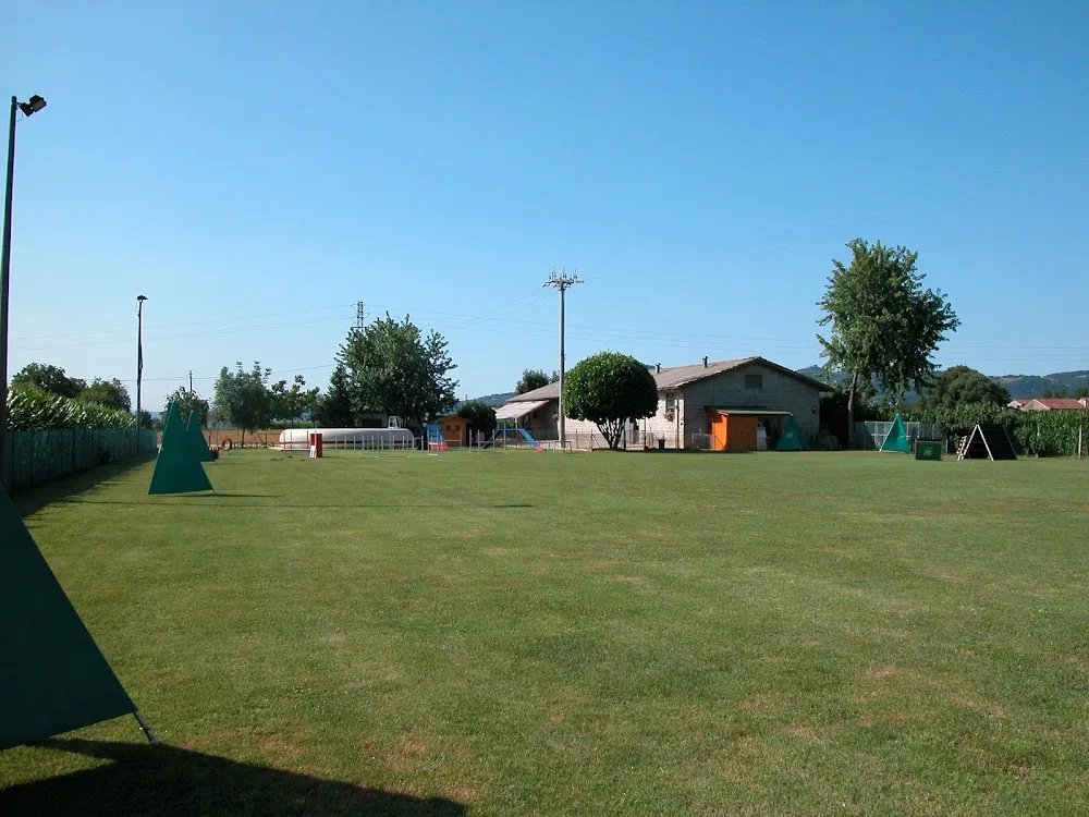 Centro Addestramento Airone di Rigo Claudia - Vicenza pet otel