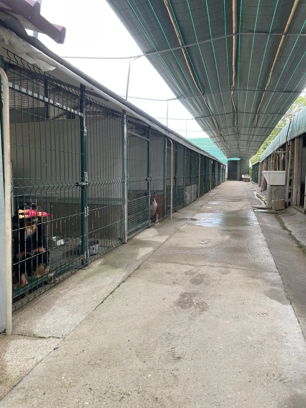 La compagnia del Ronego - Vicenza pet otel görseli 3