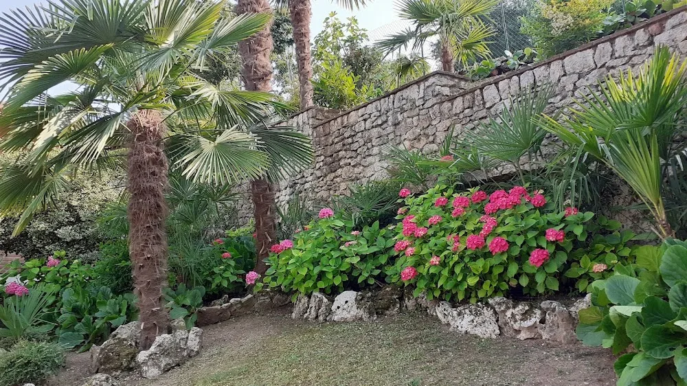 La Cuccia di Romeo - Vicenza pet otel görseli 3