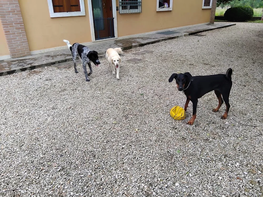 La Roggia Family Dog Relais - Vicenza pet otel görseli 3
