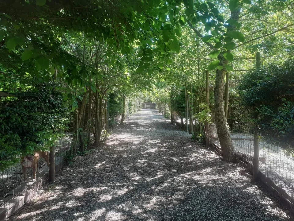 PRATO DEI GELSI - Vicenza pet otel