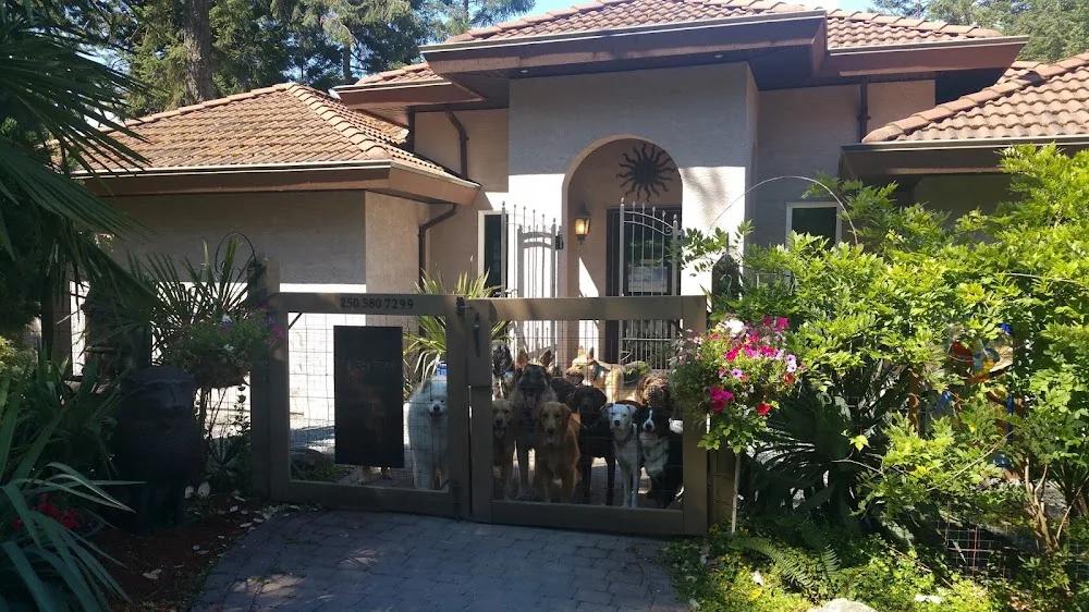 A Pawsh Oasis Pet Resort - Victoria pet otel görseli 3