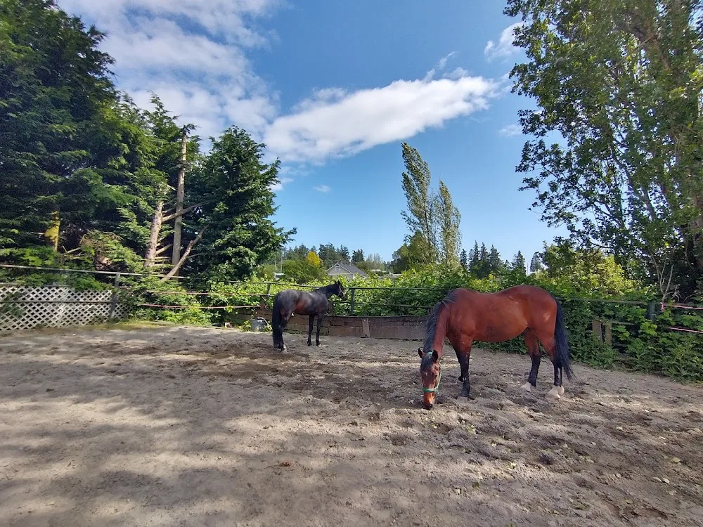 High Oaks Boarding Stables - Victoria pet otel görseli 2