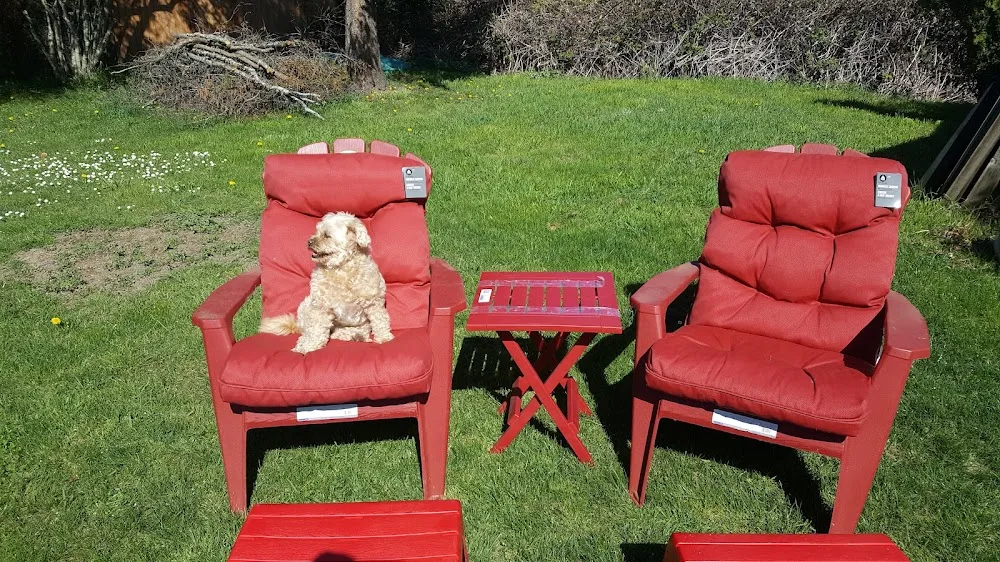 Prospect Lake Canine Care - Victoria pet otel