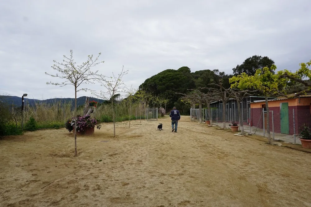 Arenyscan – Residencia Canina y Felina Maresme - Vidreres pet otel