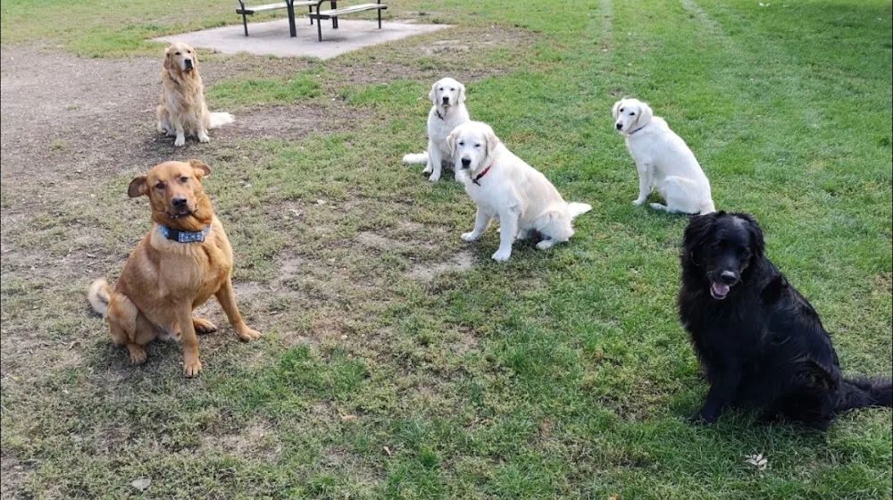 dogsitter.at - Hundebetreuung Wien - Vienna pet otel