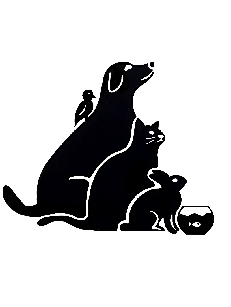 Katzenbetreuung-Wien Raidl Rene - Vienna pet otel