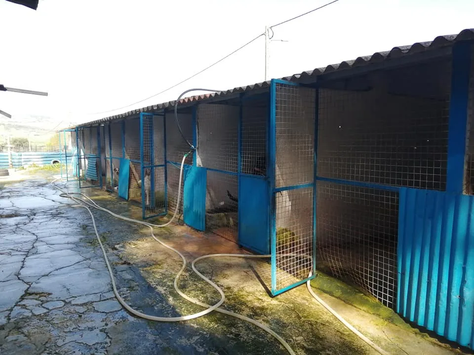 Hotel Canino das Cachoeiras - Vila Real pet otel görseli 3