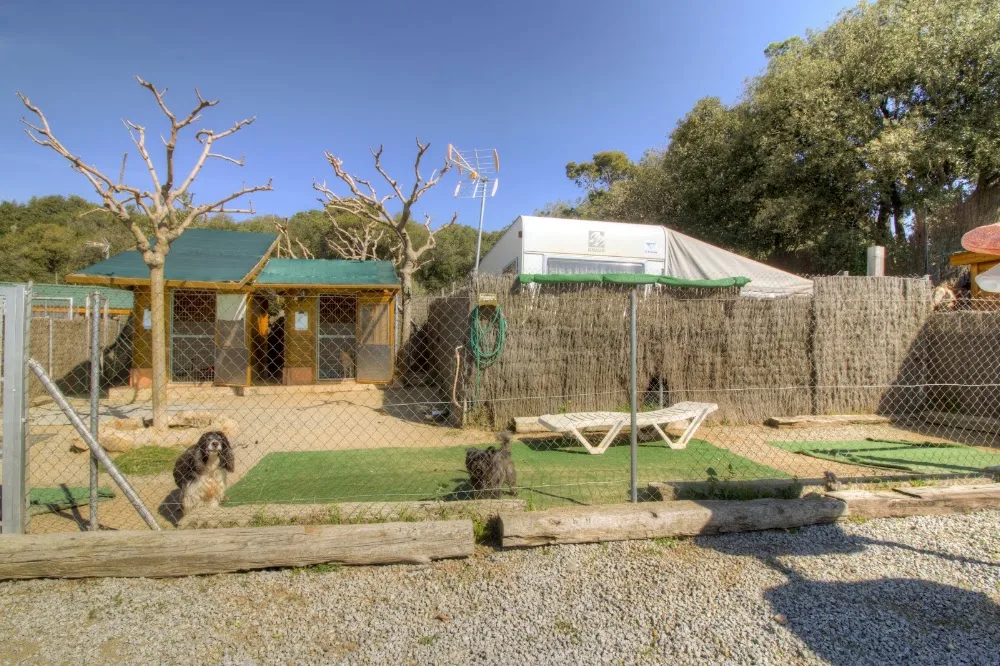 DOS ROSAS PET RESORT - Vilasantar Presaras pet otel