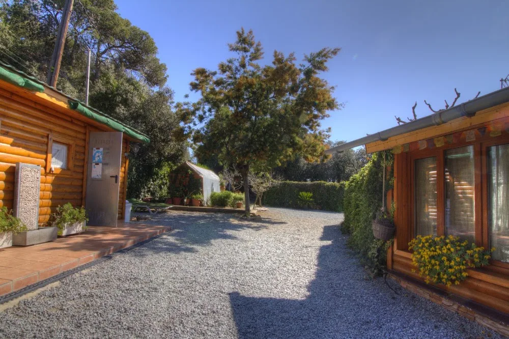 DOS ROSAS PET RESORT - Vilasantar Presaras pet otel görseli 5