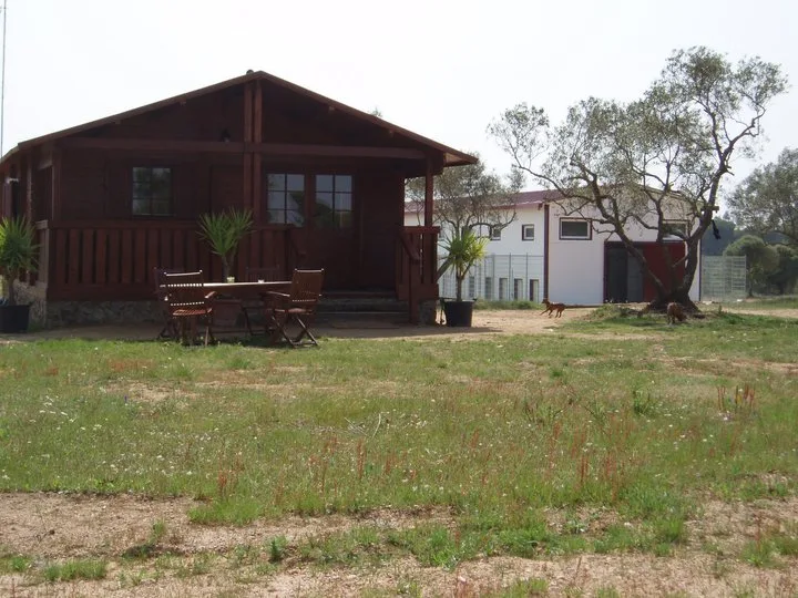 Residencia canina Villa-Can - Vilasantar Presaras pet otel görseli 3