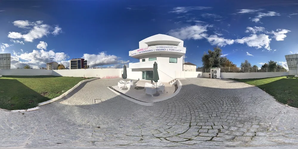 Amipet - Veterinário, Hotel & ATL, Formação e Treino - Viseu pet otel görseli 3