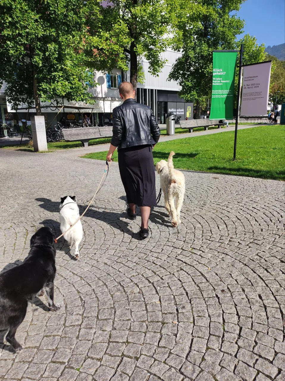 Ferdis Hunderunde - Vorarlberg pet otel görseli 2
