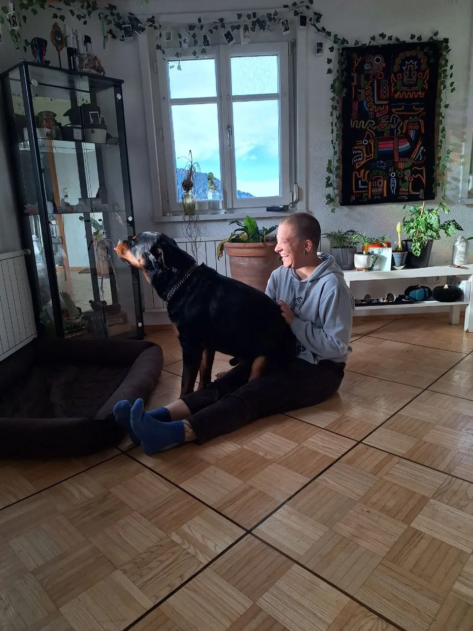 Ferdis Hunderunde - Vorarlberg pet otel görseli 3