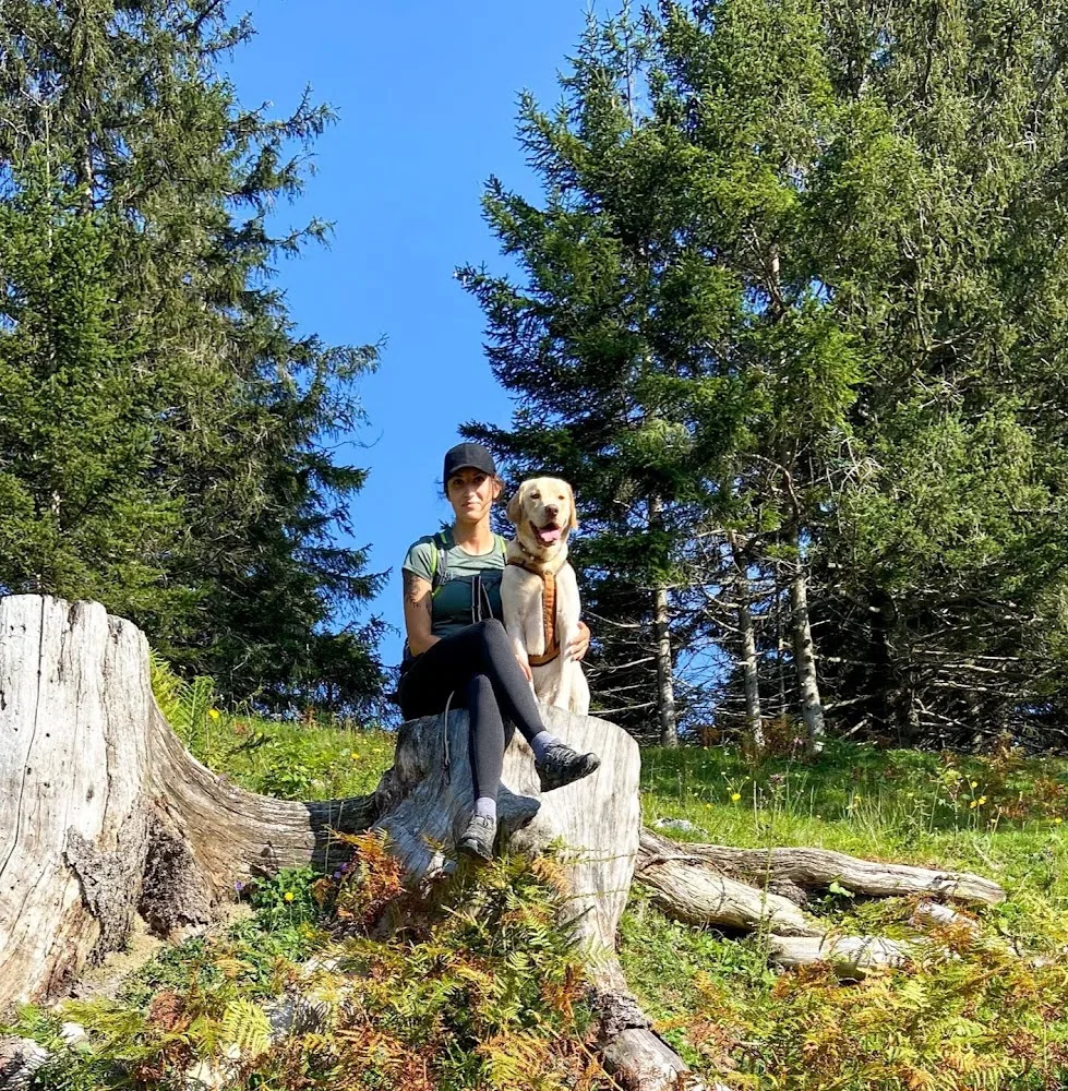 Ferdis Hunderunde - Vorarlberg pet otel görseli 5