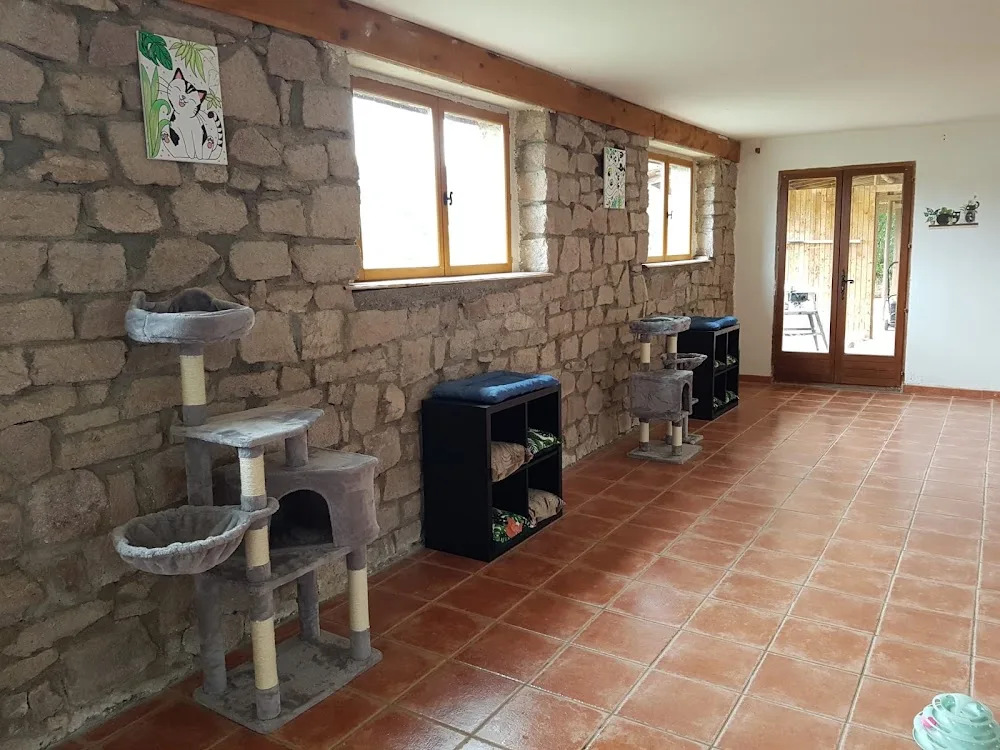 Au Chat'Peron - Vosges pet otel görseli 2