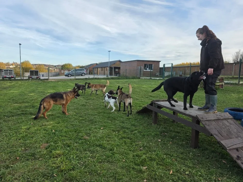 ECPV-Espace Canin de la Plaine Vosgienne - Vosges pet otel