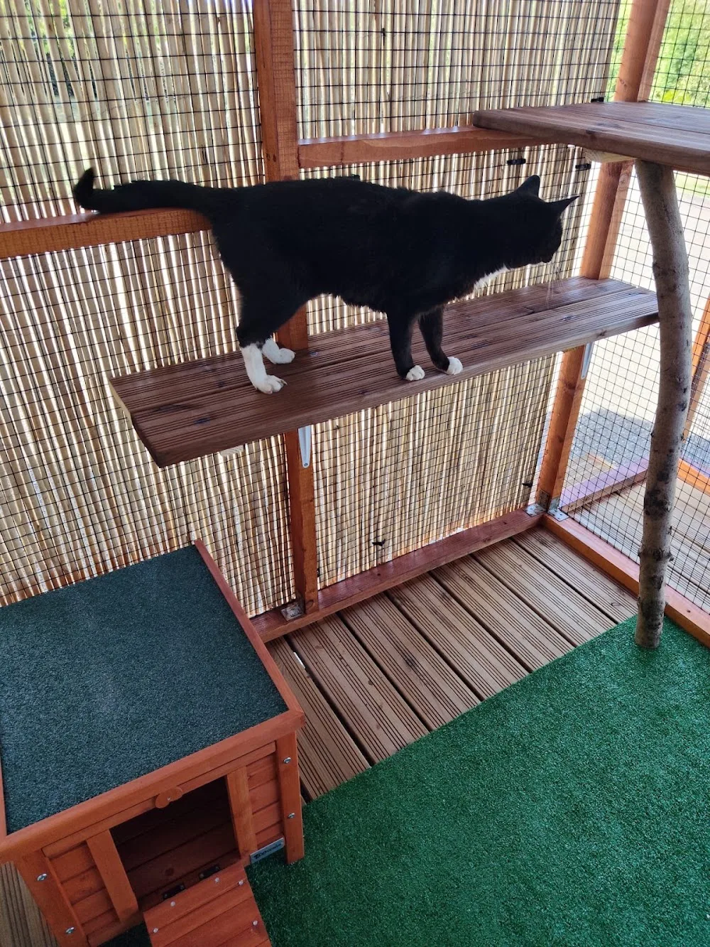 La folie des 4 pattes - Vosges pet otel