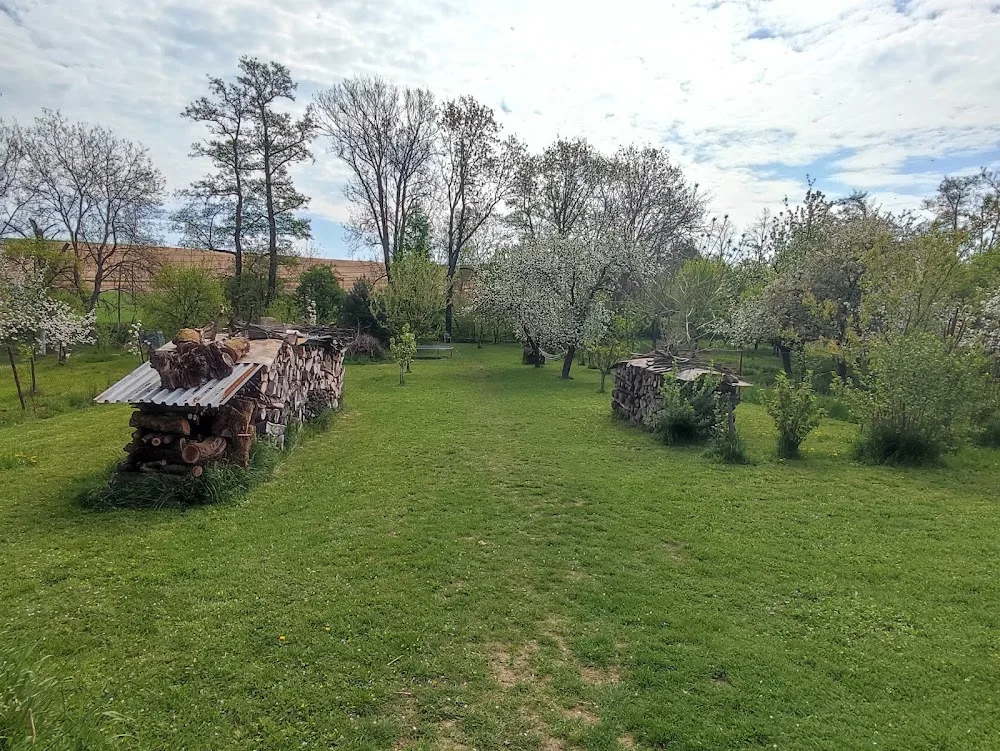 Hlídání pejsků u Marušky - Vyškov pet otel görseli 3