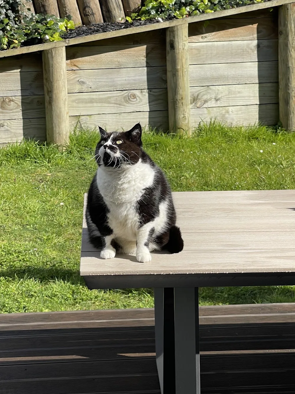 Duoye’s Lookout Point - Waikato pet otel