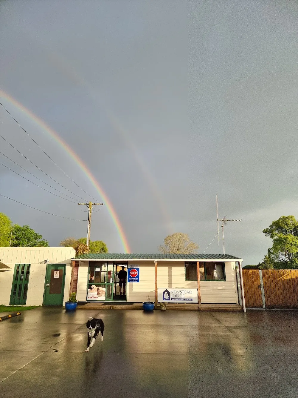 Newstead Lodge Boarding Kennels & Cattery - Waikato pet otel