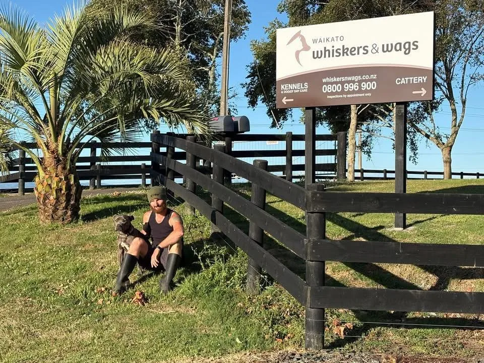 Waikato Whiskers & Wags - Waikato pet otel görseli 2