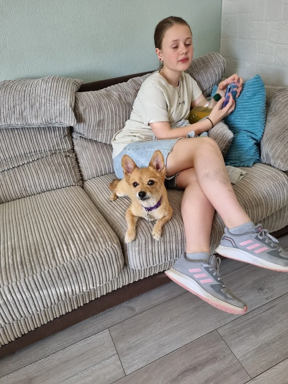 All Star Pops Paws boarding and daycare - Walsall pet otel görseli 3