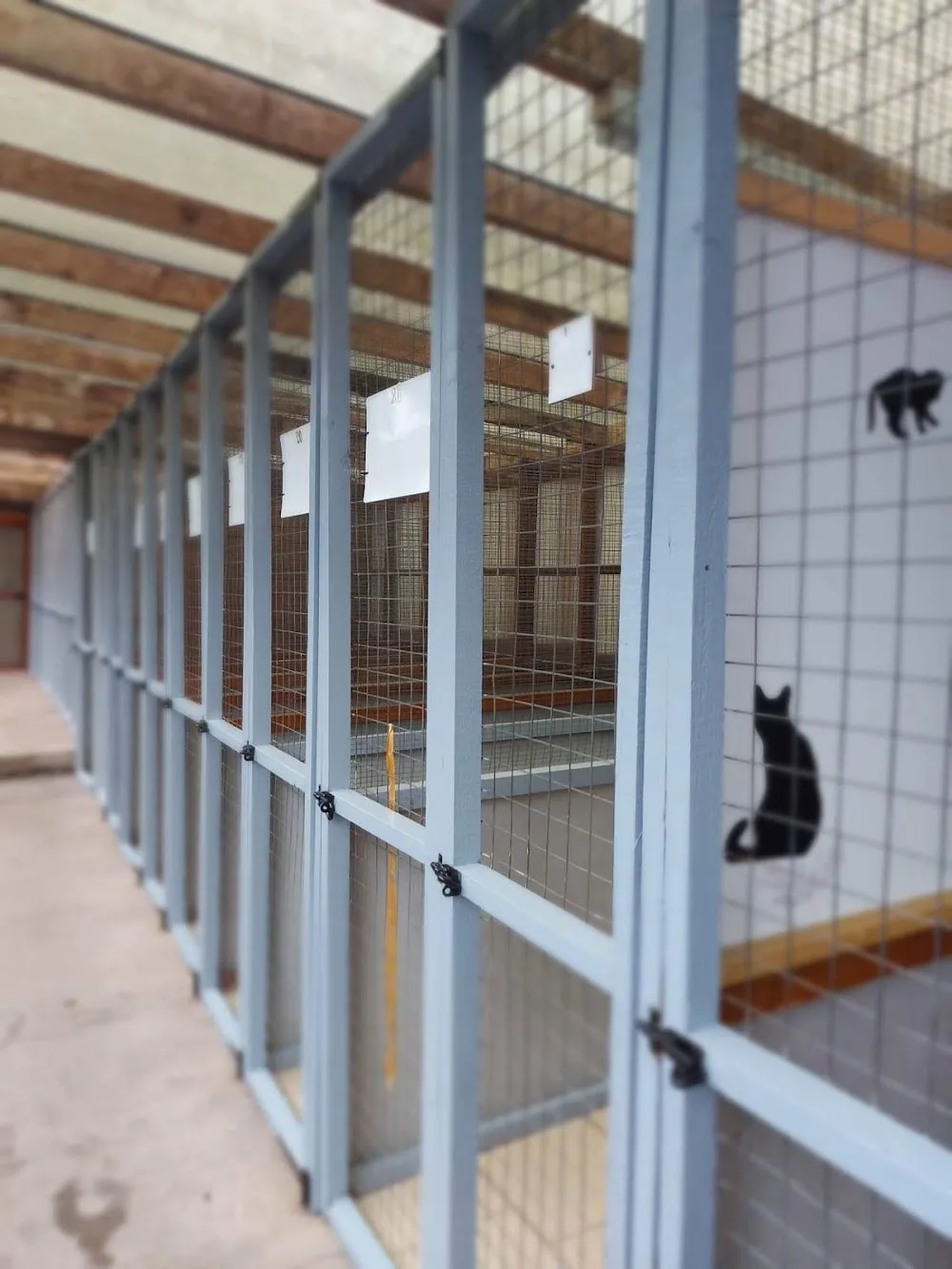 Edial Boarding Kennels & Cattery - Walsall pet otel